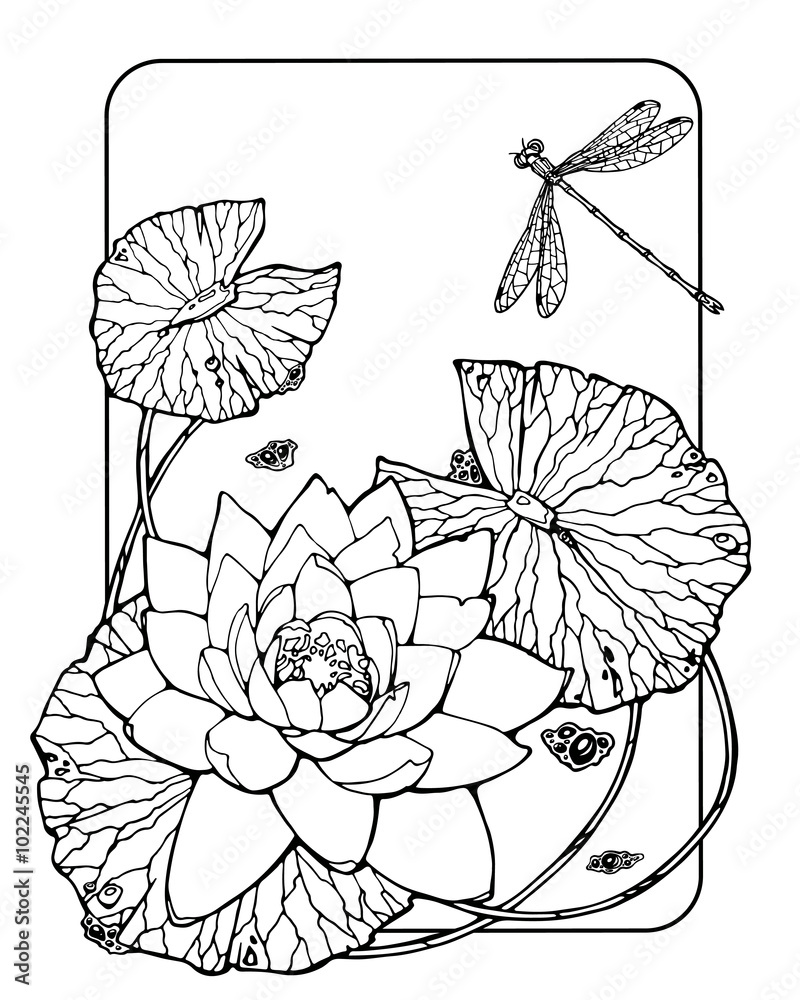 coloring page with water lily and dragonfly Stock Illustration | Adobe Stock