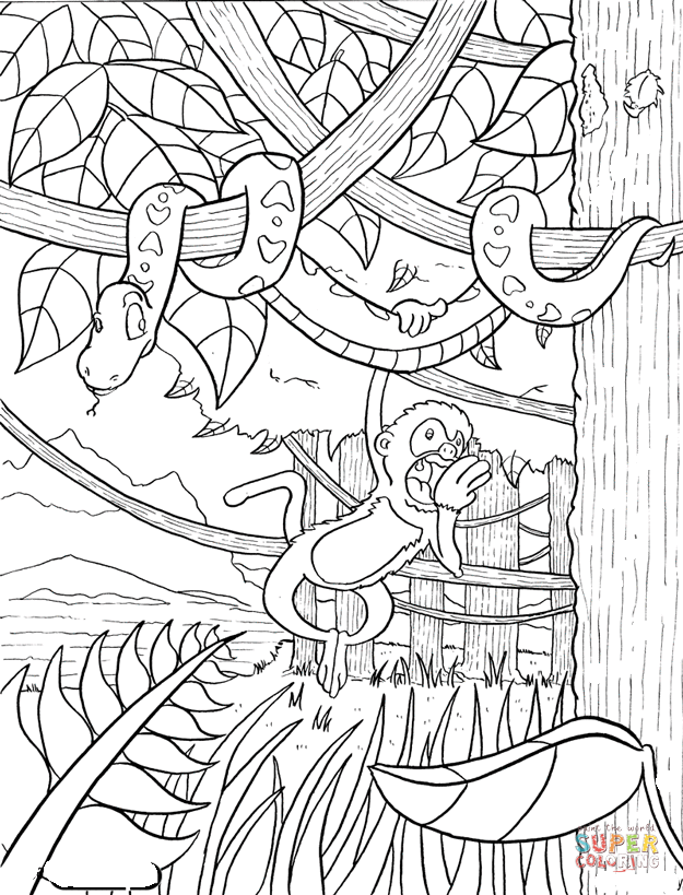 Rainforest coloring page | Free Printable Coloring Pages