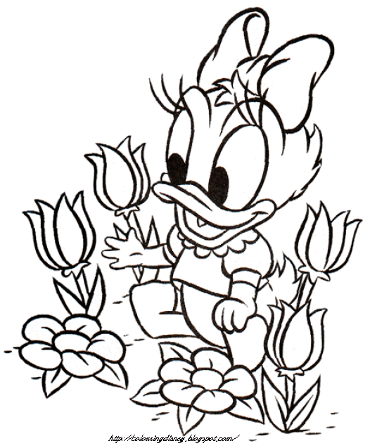 baby minnie riding a broom disney halloween coloring pages ...