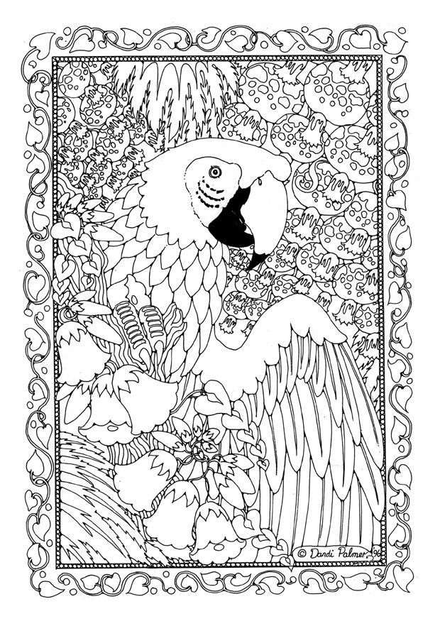 Download Advanced Printable Coloring Pages Of Animals Coloring Pages For Coloring Home