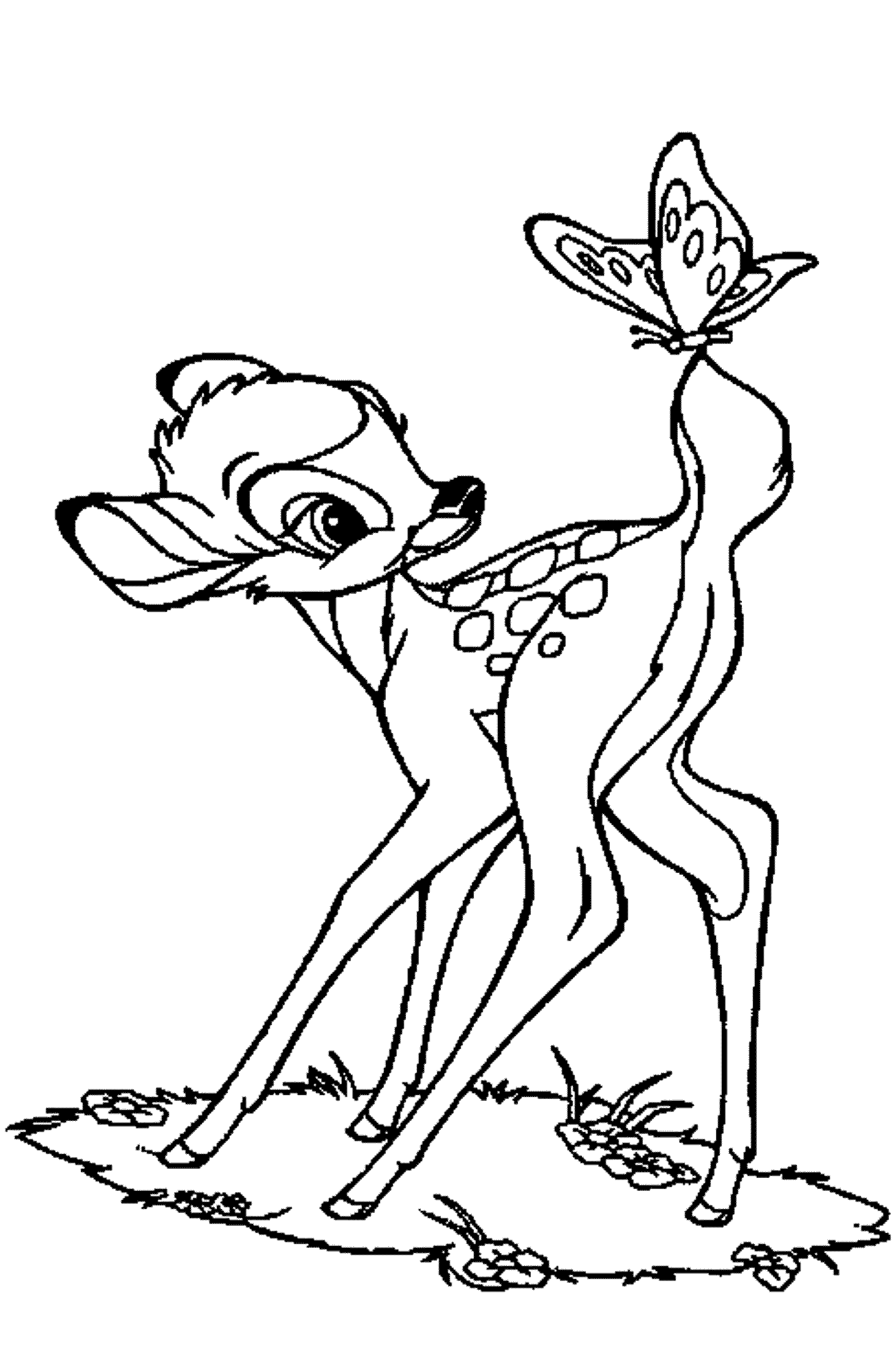 Download Baby Deer Coloring Page - Coloring Home
