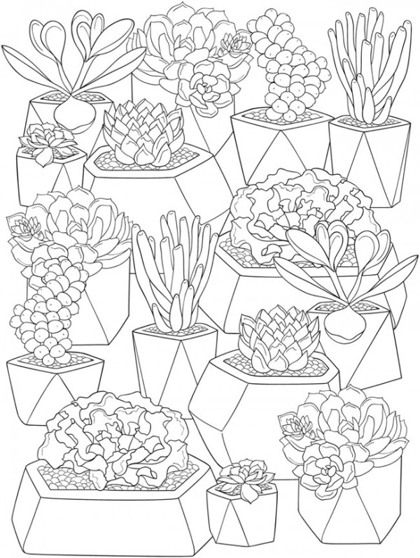 6 Succulents Coloring Pages – Stamping
