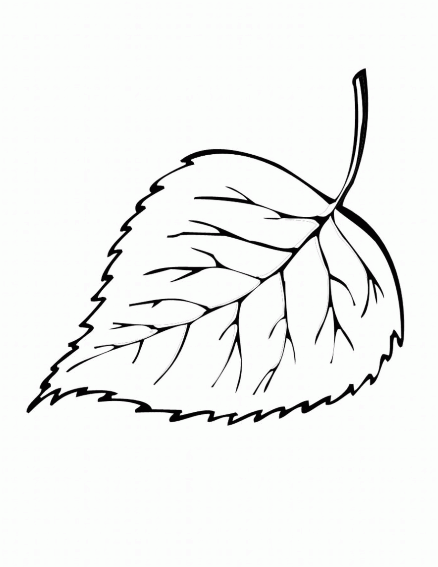 Related Leaf Coloring Pages item-13090, Leaf Coloring Pages Palm ...