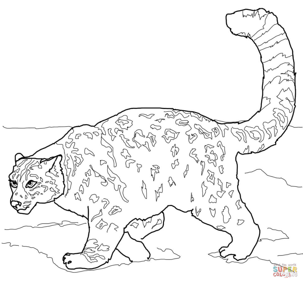 Leopards coloring pages | Free Coloring Pages