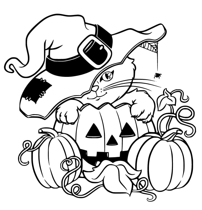 Black Cat and Pumpkins Coloring Page - Free Printable Coloring Pages for  Kids