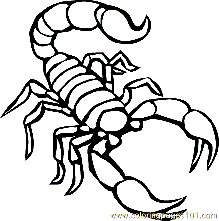 Reptile Coloring Page 05 Coloring Page for Kids - Free Scorpion Printable Coloring  Pages Online for Kids - ColoringPages101.com | Coloring Pages for Kids