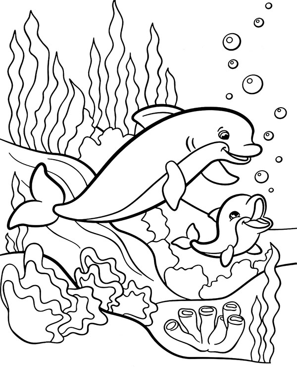 Dolphins Coloring Pages For Children Amazing Images Of Pictures Two Page To  Print Or Download – azspring