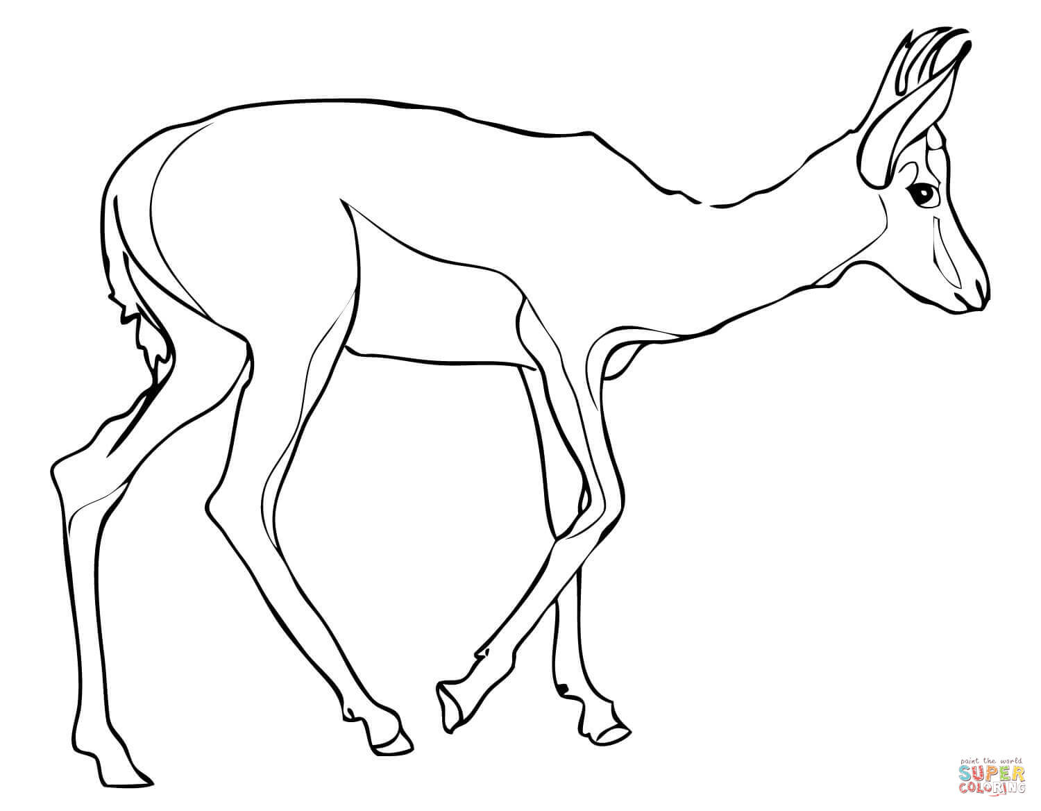 Thomson's gazelle coloring page | Free Printable Coloring Pages