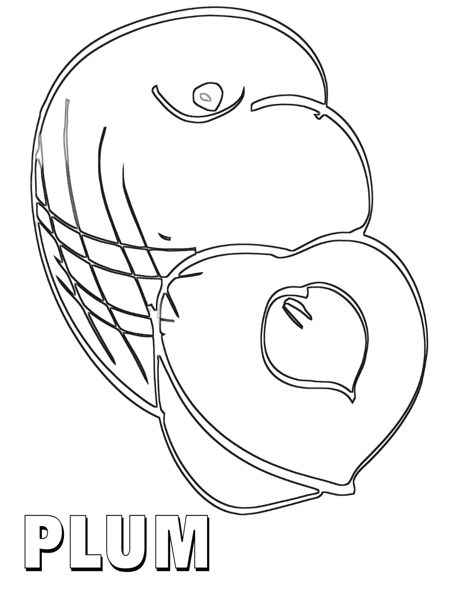 Plum coloring pages | Coloring pages to download and print