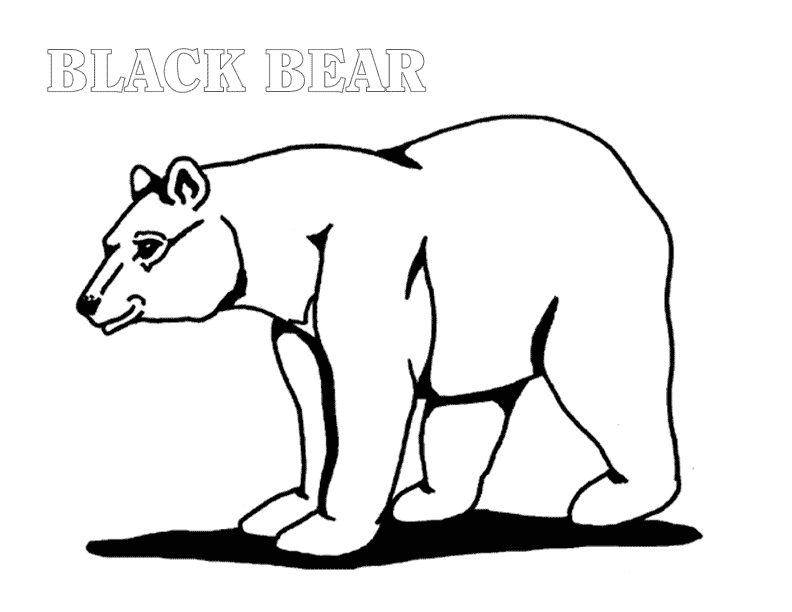 Realistic Black Bear Coloring Page Images & Pictures - Becuo