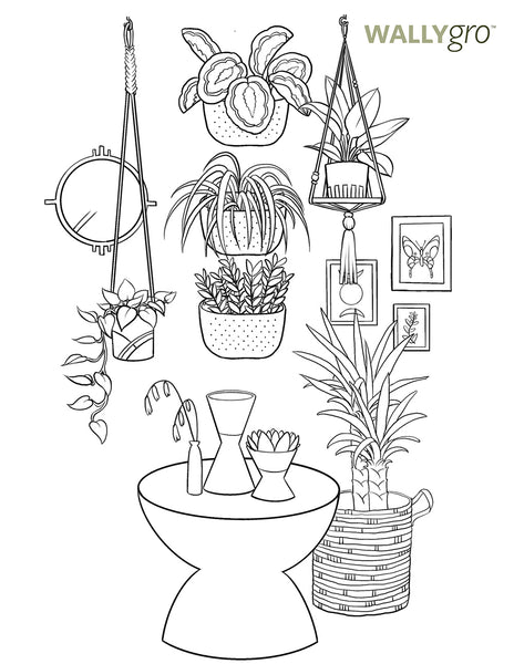 International Plant Appreciation Day Coloring Book Pages – WallyGrow
