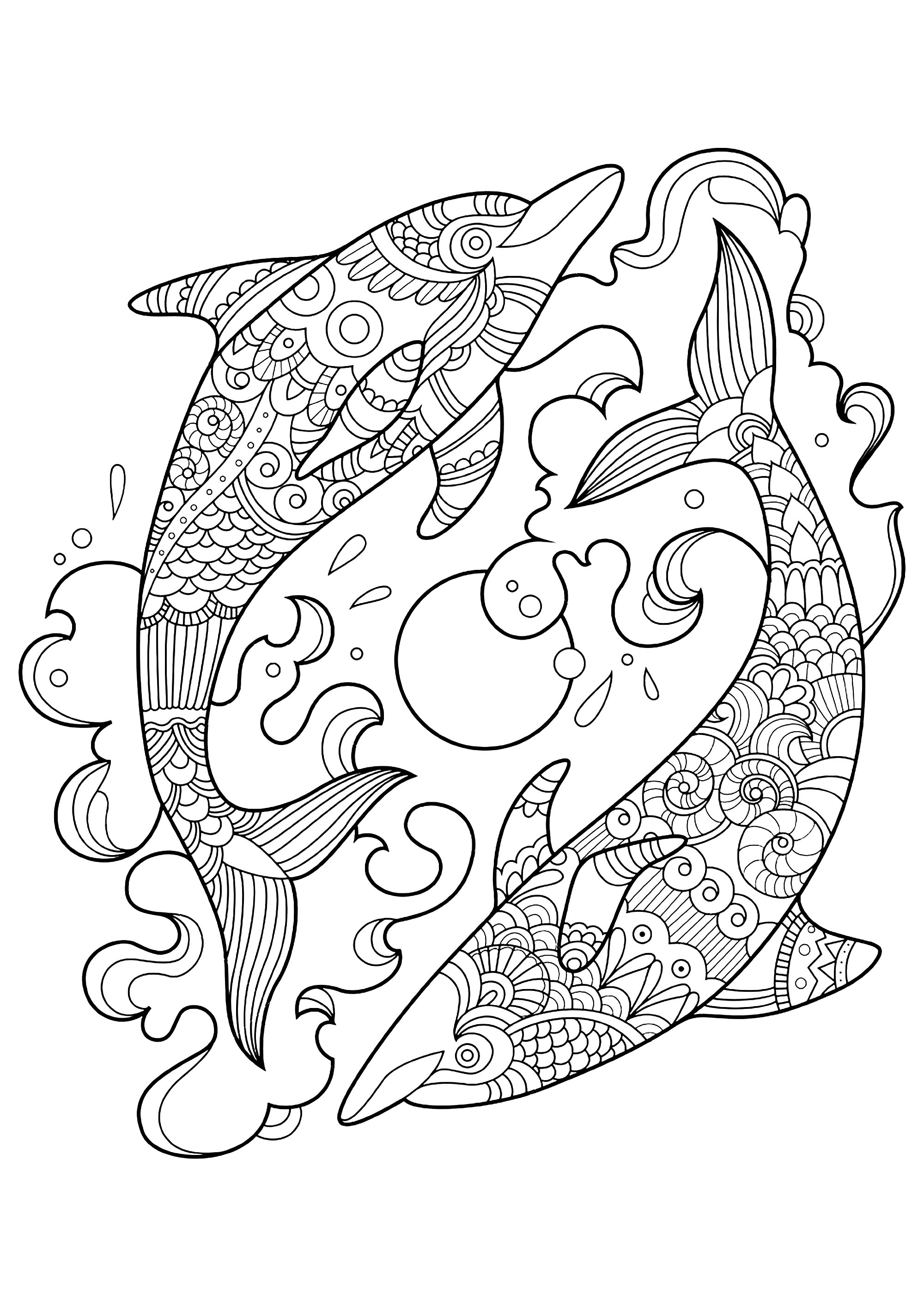 Two dolphins in the ocean - Dolphins Adult Coloring Pages