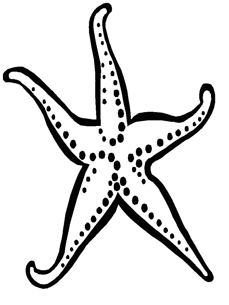 starfish coloring pages for kids - Clip Art Library