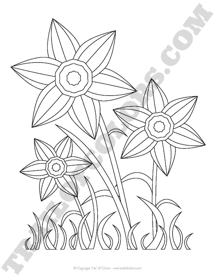 Daffodils Coloring Page for Kids - free printable - Trail Of Colors
