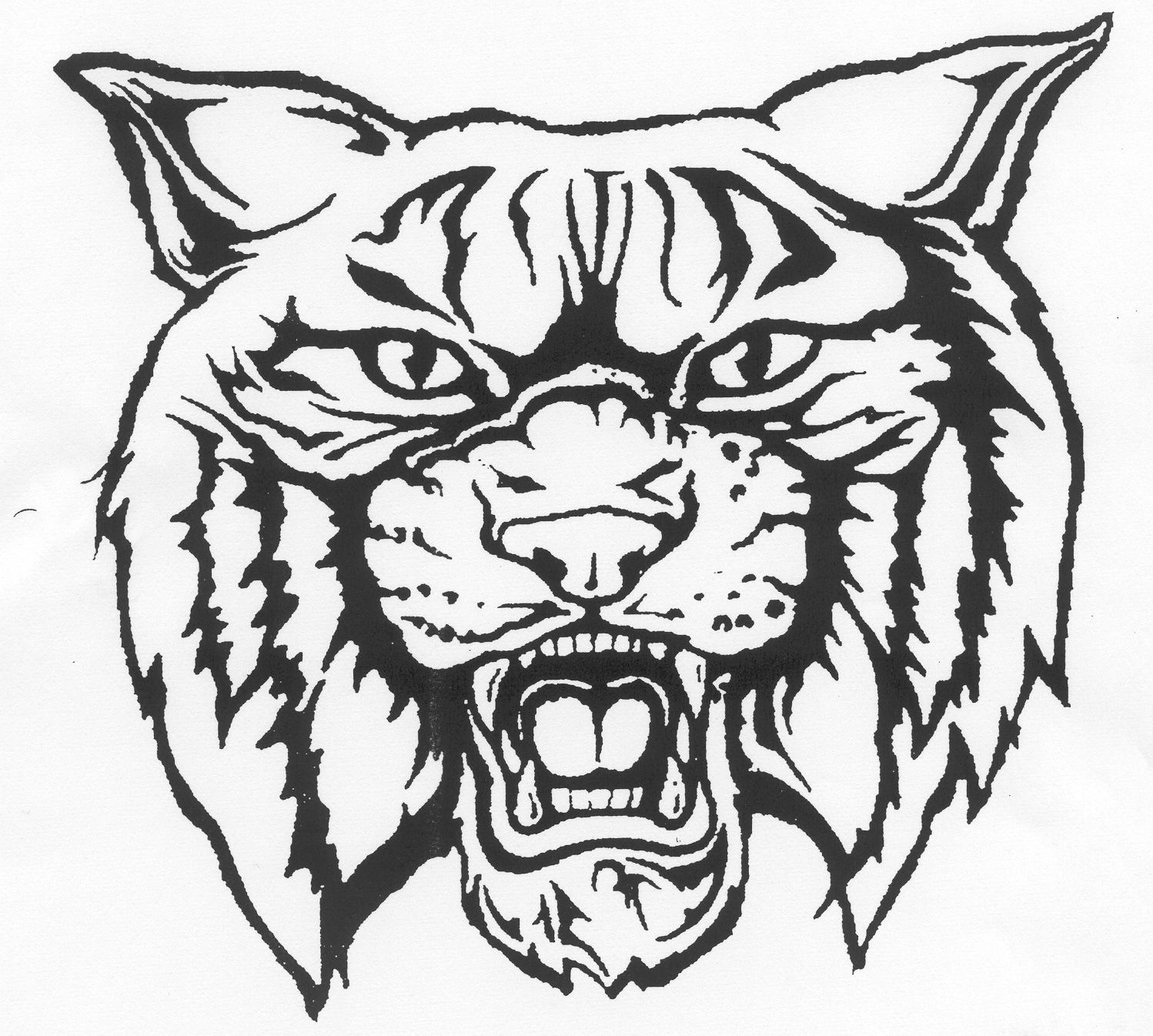 Wild cat coloring pages - timeless-miracle.com