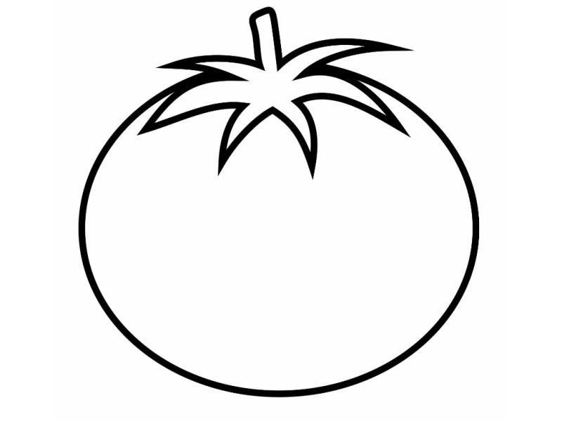 Tomato Clipart Coloring Page 13 800 X 600 Coloring Pages Clip ...