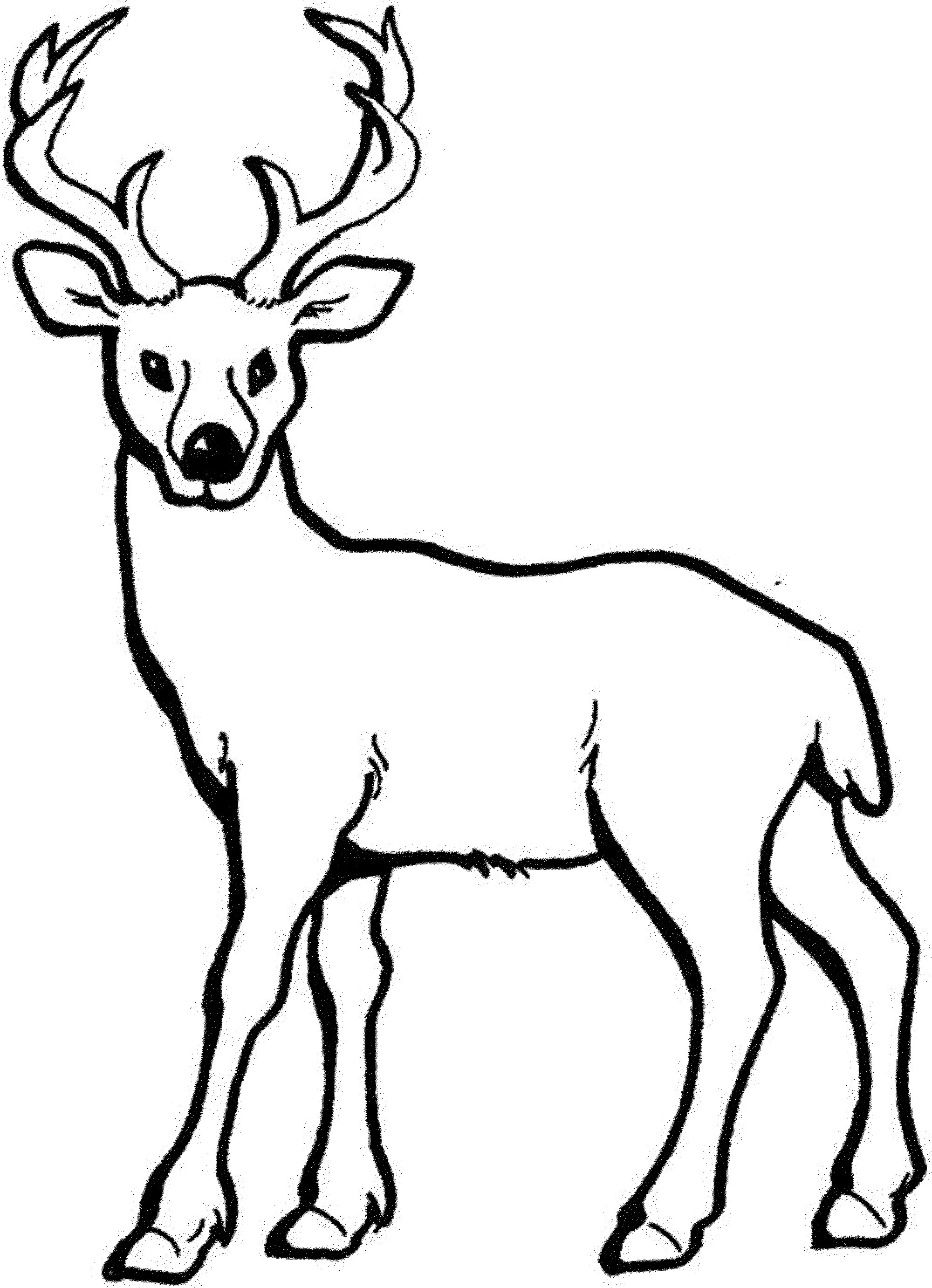 coloring-pages-of-deer | Deer coloring pages, Animal coloring ...