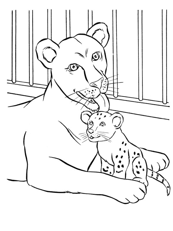 Mother lion and cub Coloring Page - Funny Coloring Pages