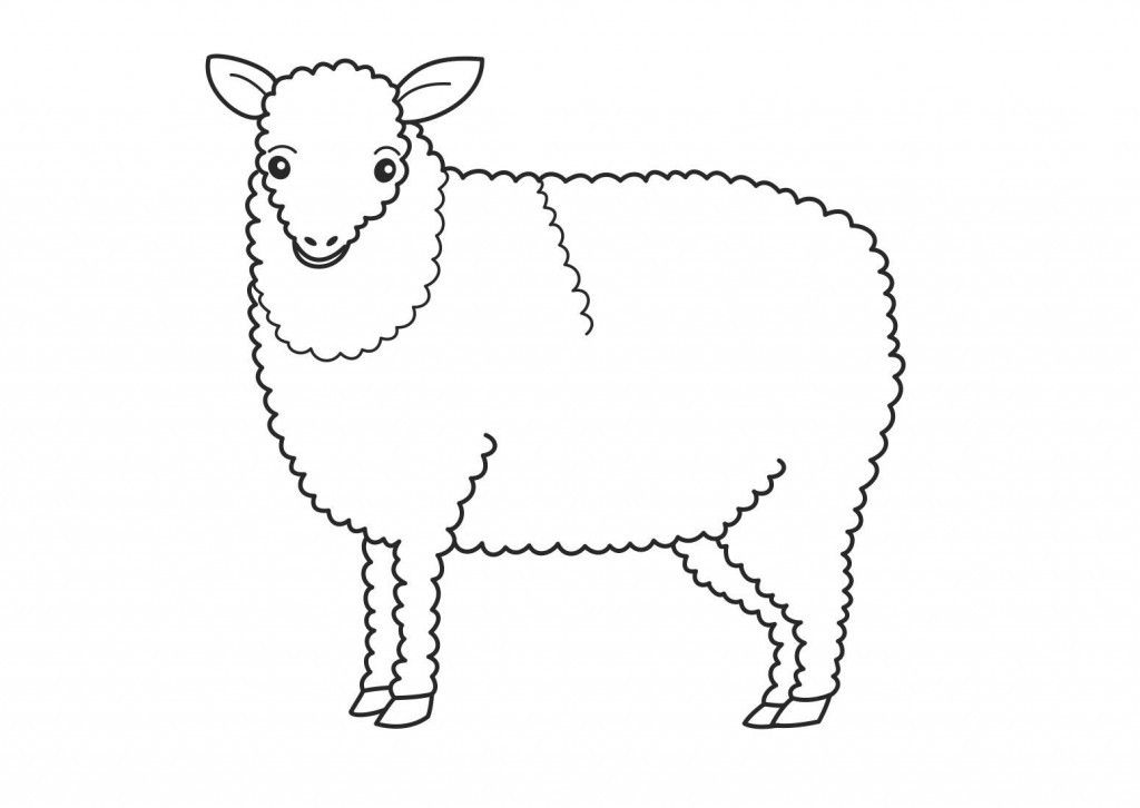 Sheep | Colouring Pages For Kids