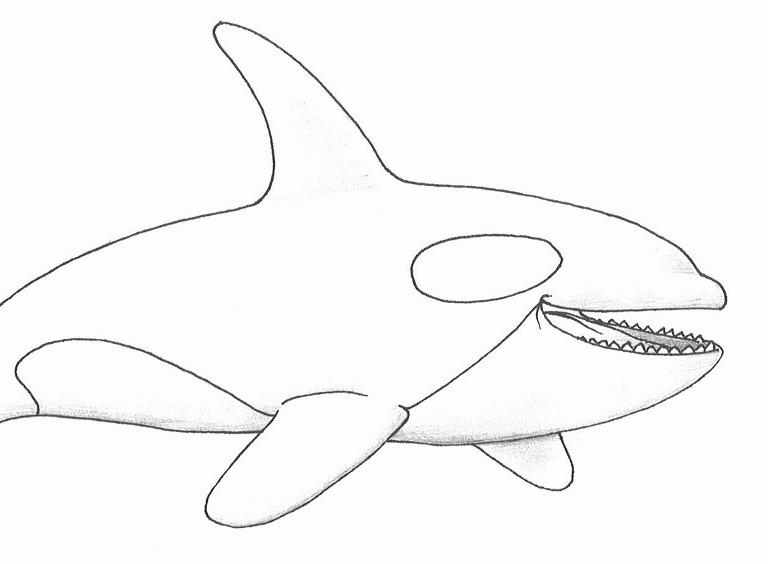 Orca Whale Coloring Page Coloring Home