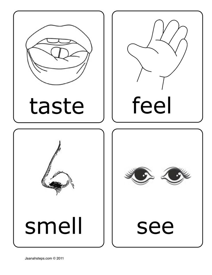 coloring page of 5 senses coloring home
