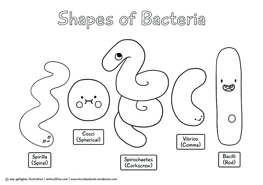 Bacteria Coloring Pages at GetDrawings | Free download