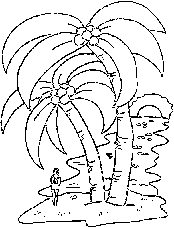 Palm Tree Coloring Sheet - Coloring Pages for Kids and for Adults