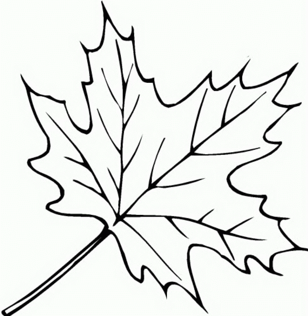 Fall Leaves Coloring Pages - Coloring Page Photos