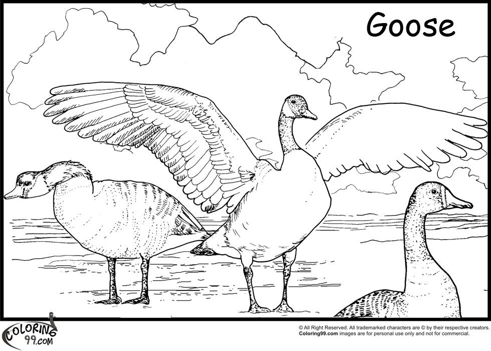 Goose Coloring Pages | Team colors