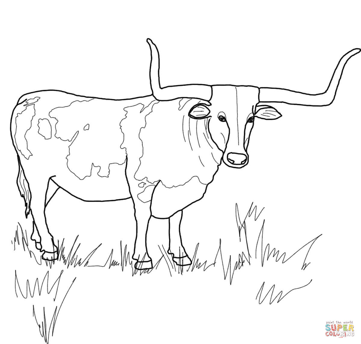 Longhorn coloring pages | Free Coloring Pages