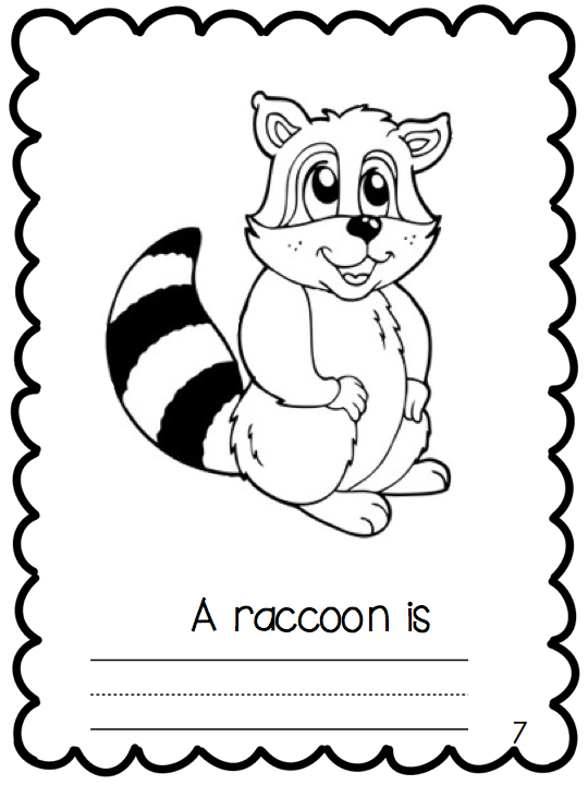 Kindergarten Nocturnal Animals Unit Related Keywords & Suggestions ...