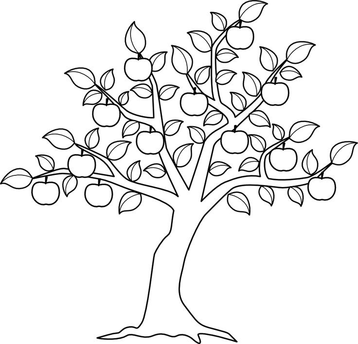 apple-tree-pictures-to-color-coloring-home