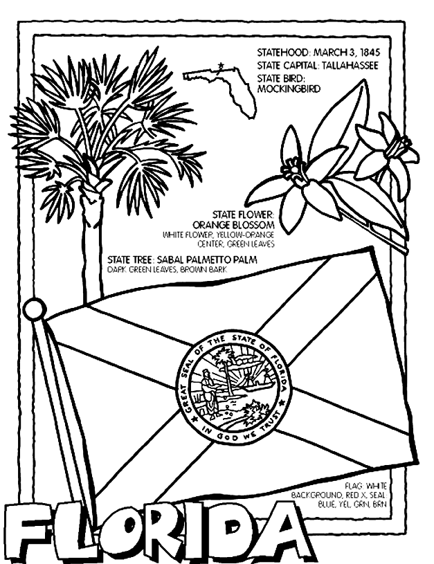 fl state flower coloring pages
