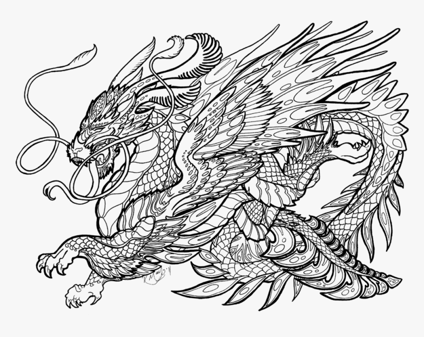 Dragon Coloring Pages For Adults, HD Png Download , Transparent Png Image -  PNGitem