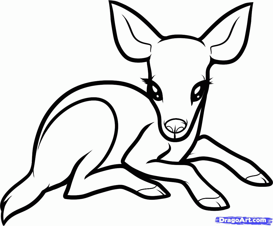 20 Pics Of Cute Dragoart Animals Coloring Pages   Cute Animal Anime ...