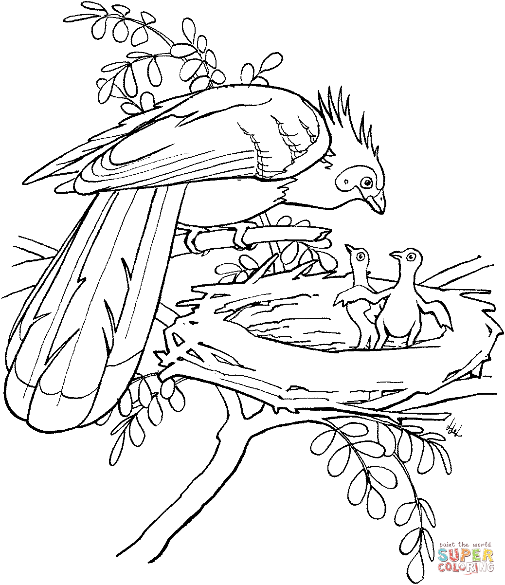 Amazon Rainforest Animals Coloring Pages   Free Printable Pictures ...