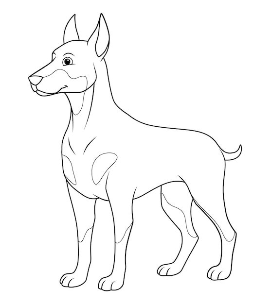 Premium Vector | Doberman dog cartoon animal illustration bw