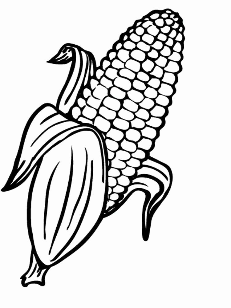 28 Corn On the Cob Coloring Page | Candy coloring pages, Corn drawing, Farm  animal coloring pages