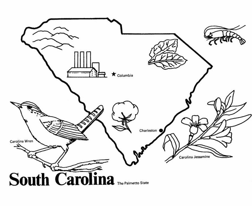 South Carolina State outline Coloring Page | Flag coloring pages, North  carolina flag, South carolina art