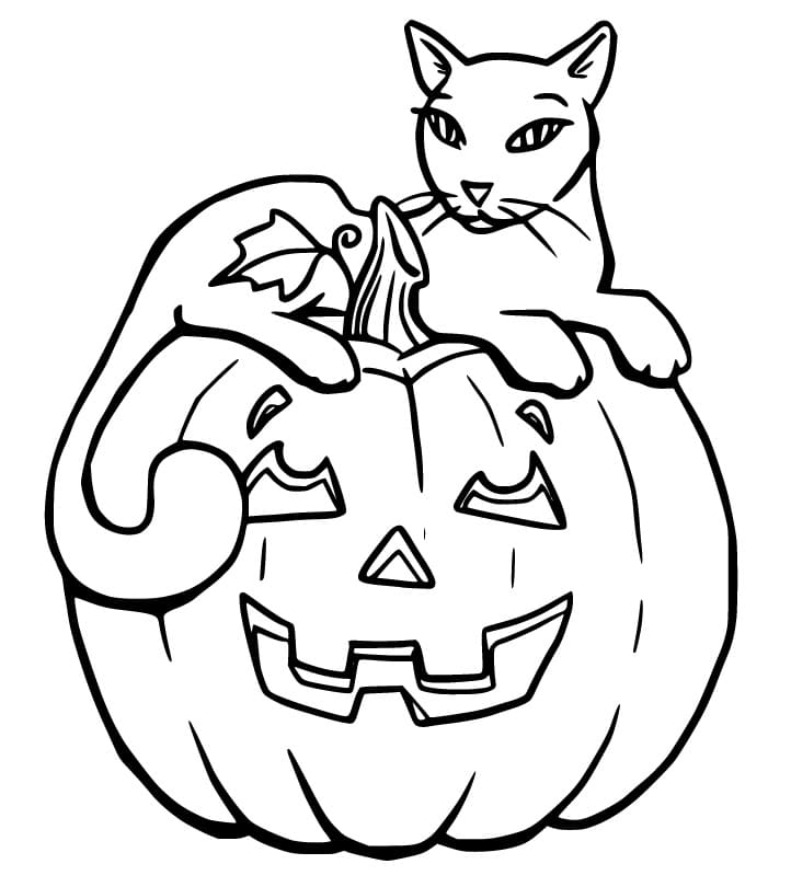 Black Cat on Jack O Lantern Coloring Page - Free Printable Coloring Pages  for Kids