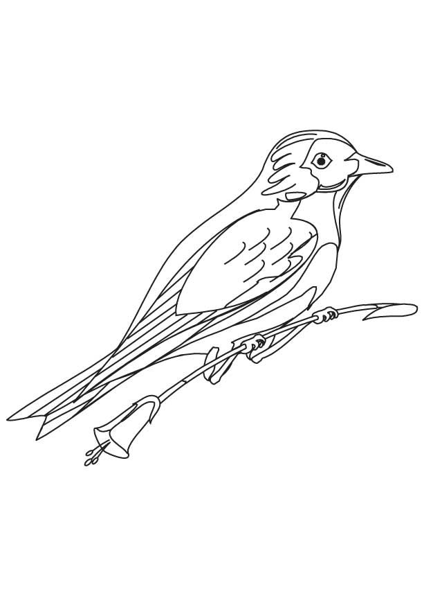 Blue Bird Coloring Pages To Print - Coloring Pages For All Ages