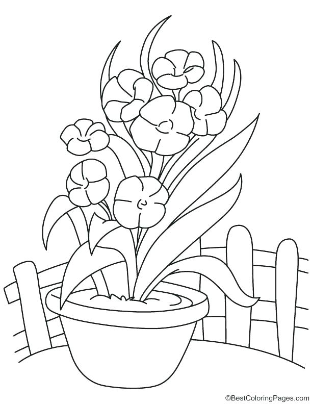 Orchid Coloring Pages - Coloring Home