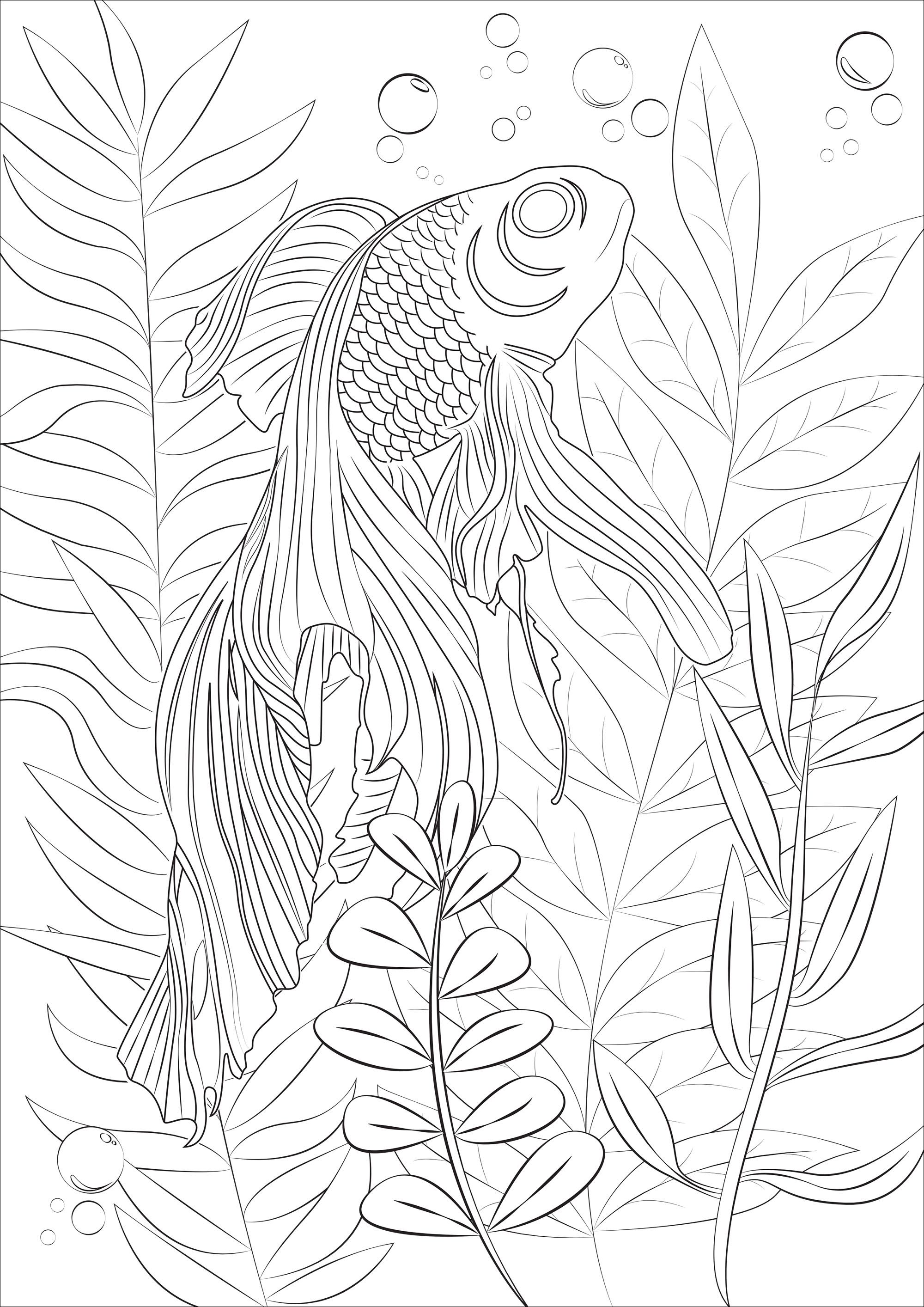Goldfish in his natural setting - Fishes Adult Coloring Pages