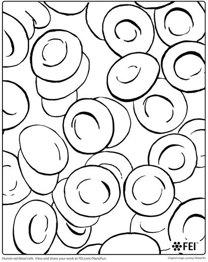 Pin on laboratory coloring book