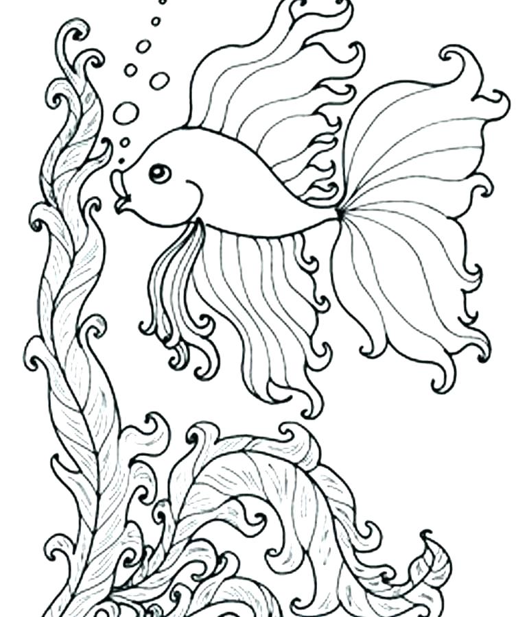 colouring pictures of sea animals – bahamasecoforum.com