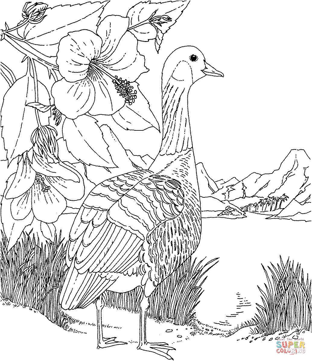 Nene and Hibiscus Hawaii State Bird and Flower coloring page ...