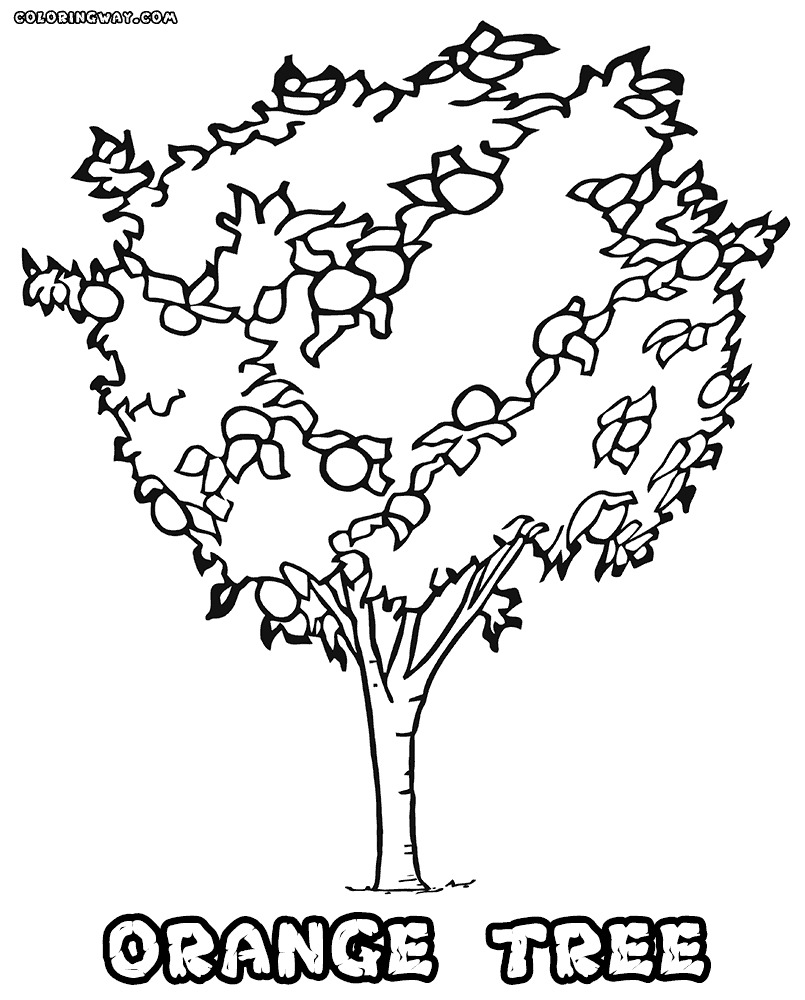 Tree coloring pages | Coloring pages to download and print