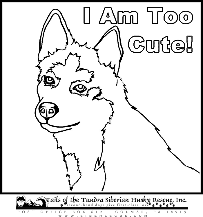 Husky Puppy Coloring Page