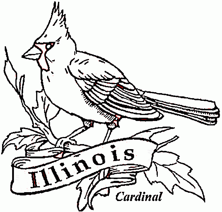 Cardinal Bird Of Illinois Coloring Online | Super Coloring