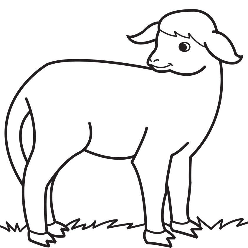 Download Sheep Coloring Page Free Or Print Sheep Coloring Page 
